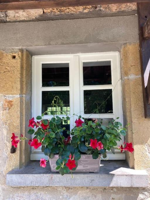 Vakantiehuis La Poire, Op Landgoed Aan De Dordogne Prudhomat Dış mekan fotoğraf